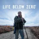 Life Below Zero, Season 16 cast, spoilers, episodes, reviews