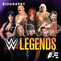 nWo - Biography: WWE Legends from Biography: WWE Legends, Season 3