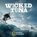 Marciano on Deck - Wicked Tuna from Wicked Tuna, Season 11