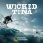 Wicked Tuna, Season 11