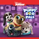 Puppy Dog Pals, Vol. 9 watch, hd download