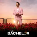 The Bachelor, Season 28 reviews, watch and download