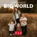 Little People, Big World, Season 25 reviews, watch and download