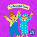 The Berenstain Bears, Vol. 4 cast, spoilers, episodes, reviews