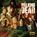 The Walking Dead, Season 1-11 Boxset cast, spoilers, episodes, reviews