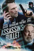Assassin's Bullet summary, synopsis, reviews