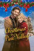 Christmas in Pine Valley summary, synopsis, reviews