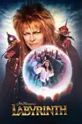 Labyrinth summary, synopsis, reviews