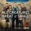 Semper Progrediens (All Creatures Great and Small) recap, spoilers