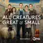 All Creatures Great and Small, Season 2