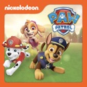 Rescue Knights: Quest for the Dragon's Tooth - PAW Patrol from PAW Patrol, Vol. 16
