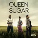 Queen Sugar, Season 1 cast, spoilers, episodes, reviews