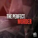 The Perfect Murder, Season 4 cast, spoilers, episodes, reviews