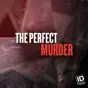 The Perfect Murder, Season 4