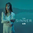 The Sinner, Season 1 cast, spoilers, episodes and reviews
