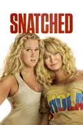 Snatched summary, synopsis, reviews