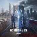 12 Monkeys, Season 2 cast, spoilers, episodes, reviews