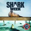 Shark Week, 2017 cast, spoilers, episodes, reviews