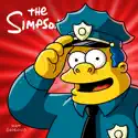 The Simpsons, Season 28 watch, hd download