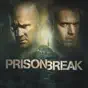 Prison Break, Season 5