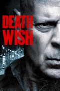Death Wish (2018) summary, synopsis, reviews