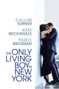 The Only Living Boy In New York summary, synopsis, reviews