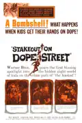 Stakeout On Dope Street summary, synopsis, reviews