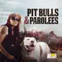 Pit Bulls and Parolees, Season 11