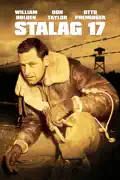 Stalag 17 summary, synopsis, reviews