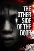The Other Side of the Door summary, synopsis, reviews