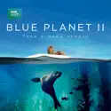One Ocean - Blue Planet II from Blue Planet II