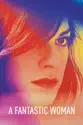 A Fantastic Woman summary and reviews