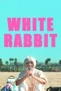 White Rabbit summary, synopsis, reviews