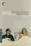 Scenes from a Marriage summary, synopsis, reviews