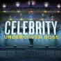 Celebrity Undercover Boss, Season 1