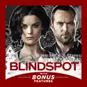 Blindspot, Season 2 cast, spoilers, episodes, reviews