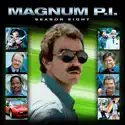 Magnum, P.I., Season 8 watch, hd download