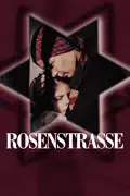 Rosenstrasse summary, synopsis, reviews