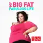 My Big Fat Fabulous Life, Season 5
