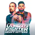 The Ultimate Fighter 28: Team Whittaker vs. Team Gastelum - Heavy Hitters cast, spoilers, episodes, reviews