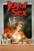 Joy of Sex summary, synopsis, reviews