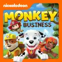 PAW Patrol, Monkey Business cast, spoilers, episodes and reviews