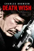 Death Wish summary, synopsis, reviews