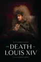 The Death of Louis XIV summary and reviews