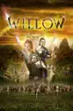 Willow summary and reviews