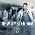 New Amsterdam, Season 1 watch, hd download