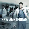 New Amsterdam, Season 1 cast, spoilers, episodes, reviews
