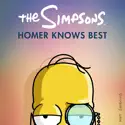 The Simpsons: Homer Knows Best cast, spoilers, episodes, reviews