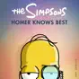 The Simpsons: Homer Knows Best