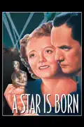 A Star is Born (1937) summary, synopsis, reviews